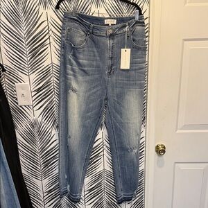 Stylish Women's Blue Ankle Jeans